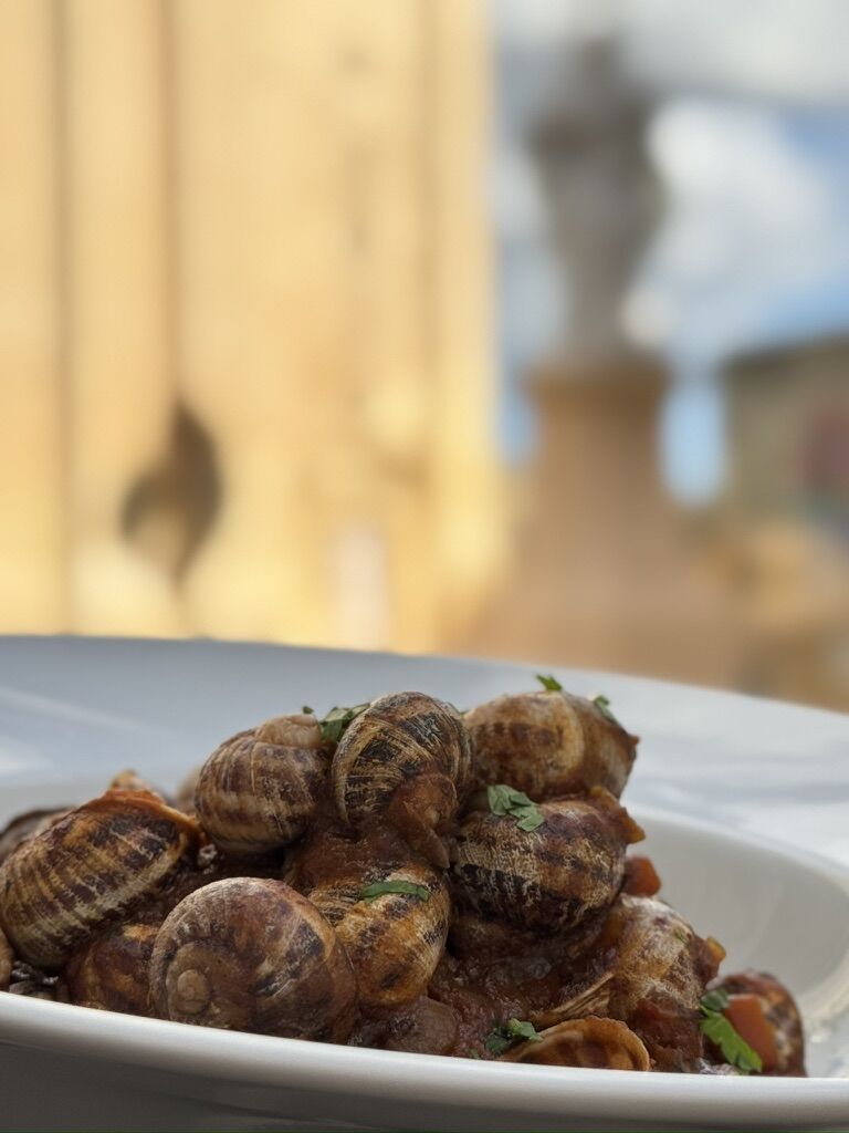 A plate of snails in tomato sauce
